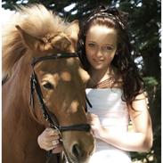 Islænder Frosti Fra Gudromgård