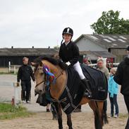 Connemara Jolly Jumper