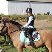 Connemara Jolly Jumper