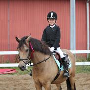 Connemara Jolly Jumper