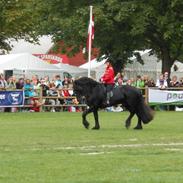 Frieser Meine vb Ster