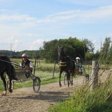 Traver Trendy Simoni ¤Leveret tilbage¤