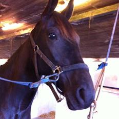 Traver Trendy Simoni ¤Leveret tilbage¤