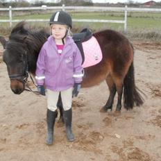 Shetlænder Frederikke