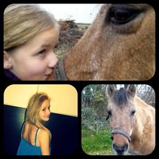 Anden særlig race Blinka (himmelhest)