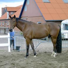 Anden særlig race Monthy