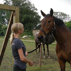 Anden særlig race Monthy