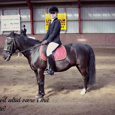 Anden særlig race Bandit<3