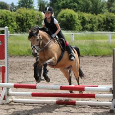 Connemara Jolly Jumper