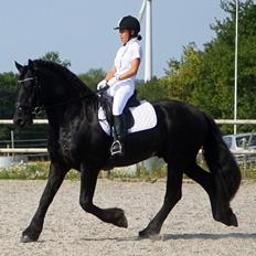 Frieser Meine vb Ster