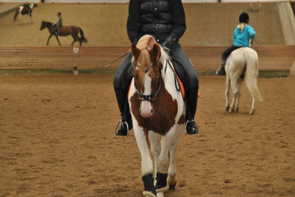 Anden særlig race Mc Queen billede 1