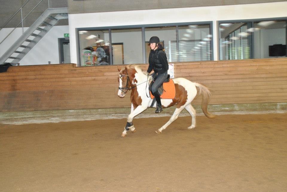 Anden særlig race Mc Queen billede 5