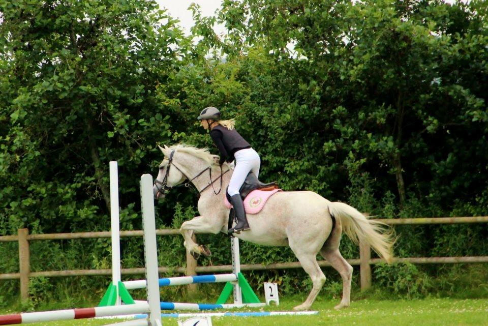 Dansk Varmblod Backersdal´s Lollipop [Min stjerne] - Ridelejr 2012. <3
Team Cabe. <3 billede 2