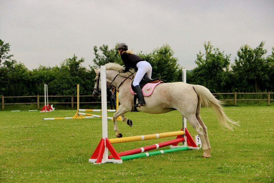 Dansk Varmblod Backersdal´s Lollipop [Min stjerne] - Ridelejr 2012. <3
Team Cabe. <3 billede 4