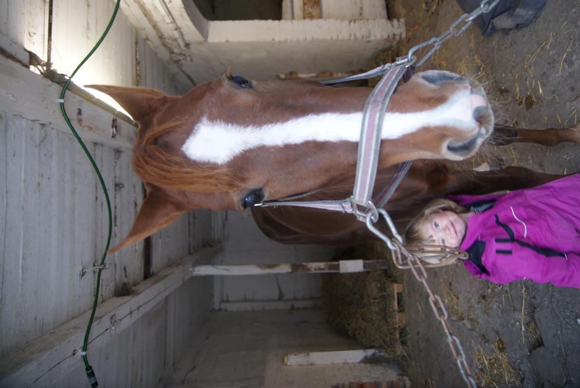 Traver Solarplexus B.M.W (solgt) - Solarplexus den 1-11-12 billede 10