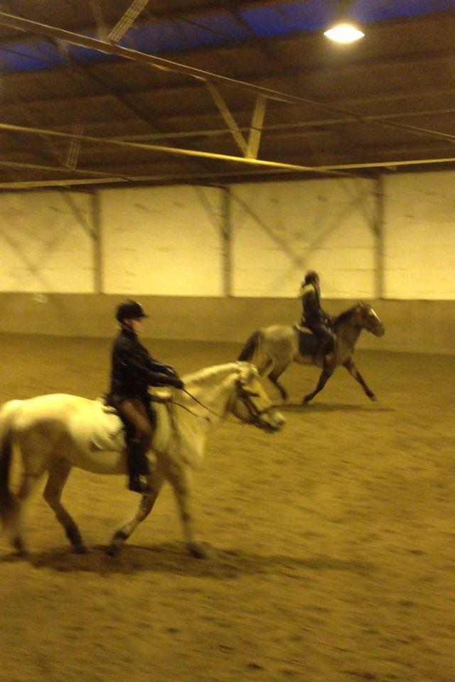 Anden særlig race Blixem - undskyld kvaliteten. 
men tjek lige de der forben! øgning:) billede 7