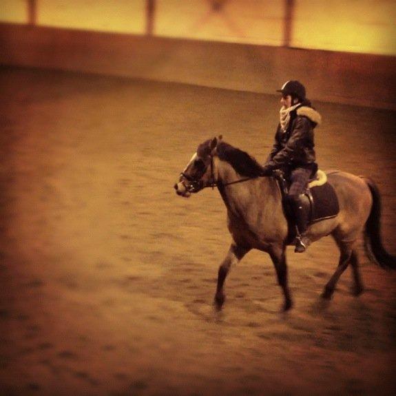 Anden særlig race Blixem - søde pony:) billede 6