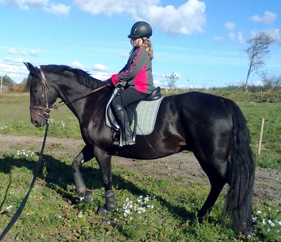 Anden særlig race Sir Arthur - De skal nok blive et godt par :) billede 20