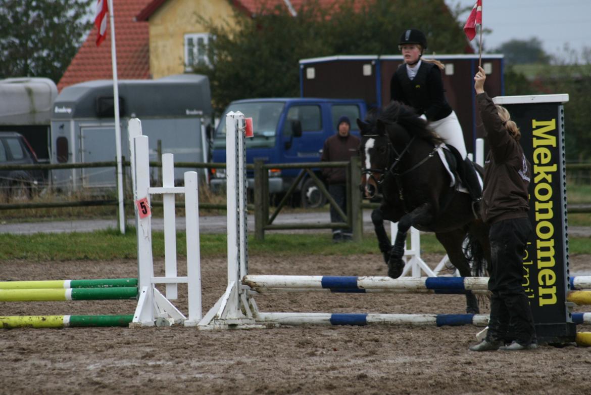 Anden særlig race Pluto - 14/10-12 Første springstævne sammen<3 Vi sprang 40 cm., og derfor mente han at nogle af springene var gravet ned;)<3 billede 11