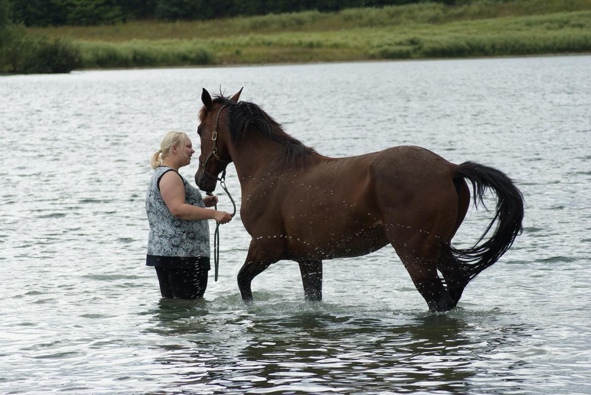 Traver opal street - Opal og min veninde Juli 2012 billede 16