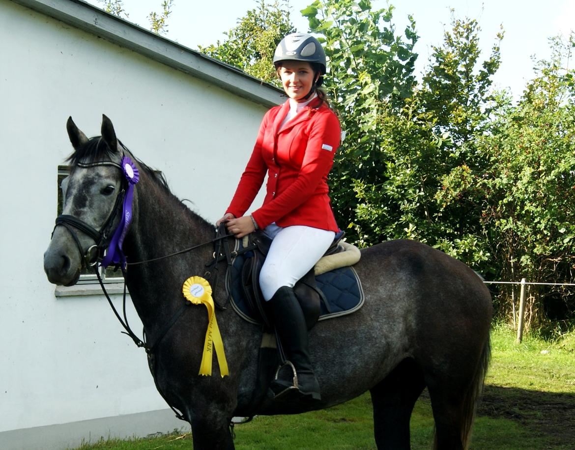 Dansk Varmblod Amona - Amona & jeg til stævne! 3 nul runder! :)  billede 18