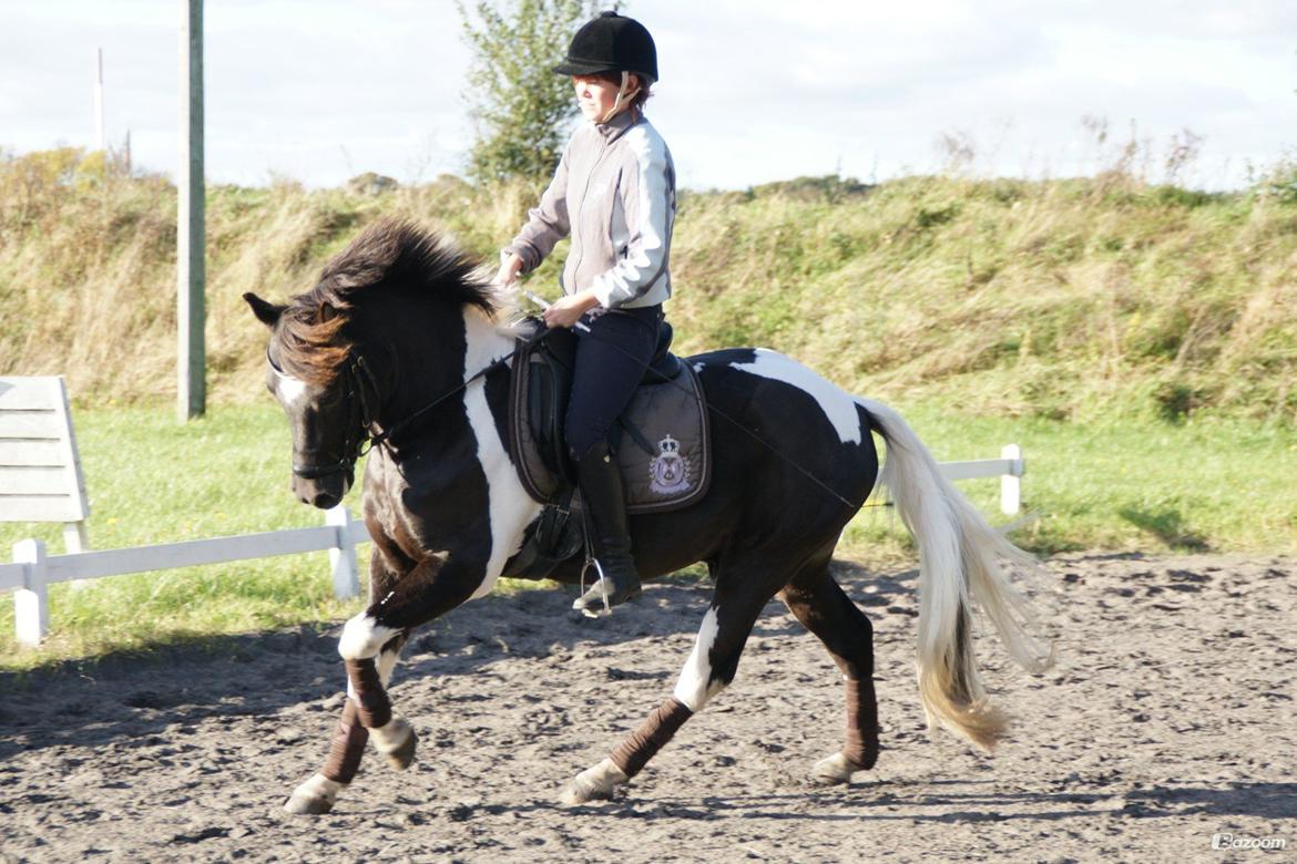 Pinto Lyvangs Jeopardy billede 9