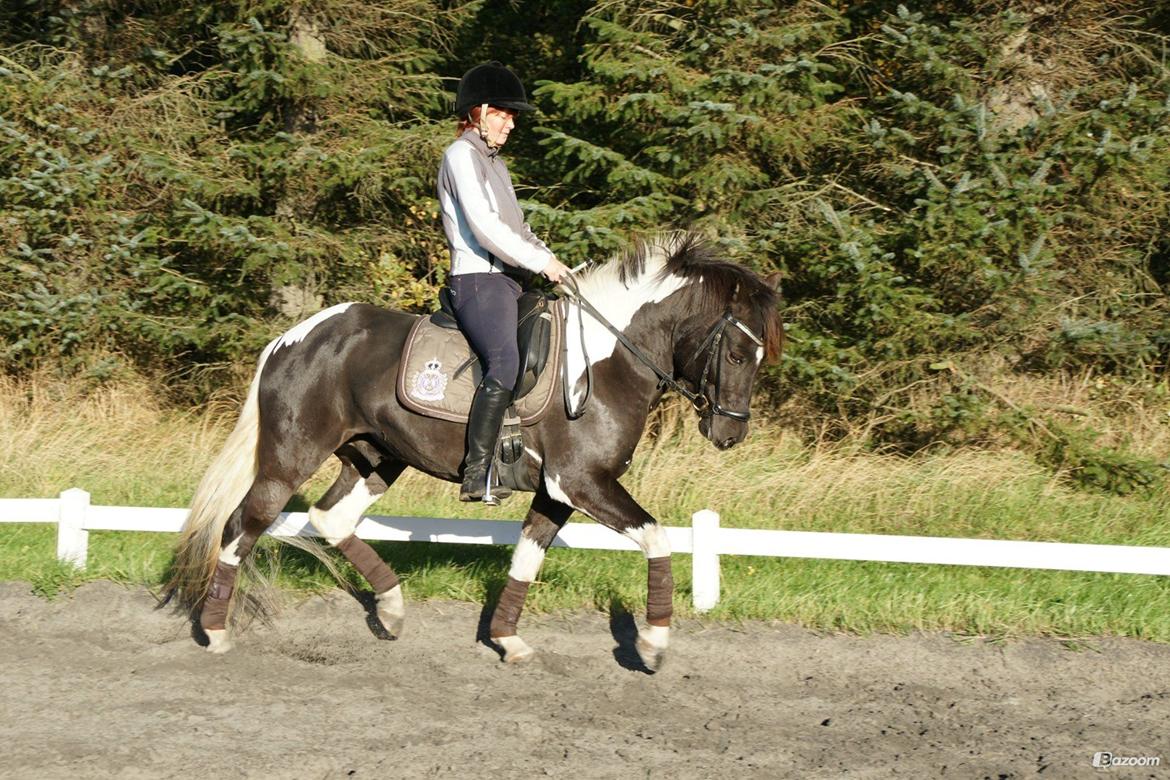 Pinto Lyvangs Jeopardy billede 20