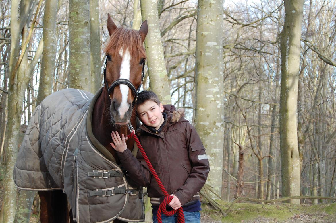 New Forest Kantje's Bardoes - Dig & Mig billede 17