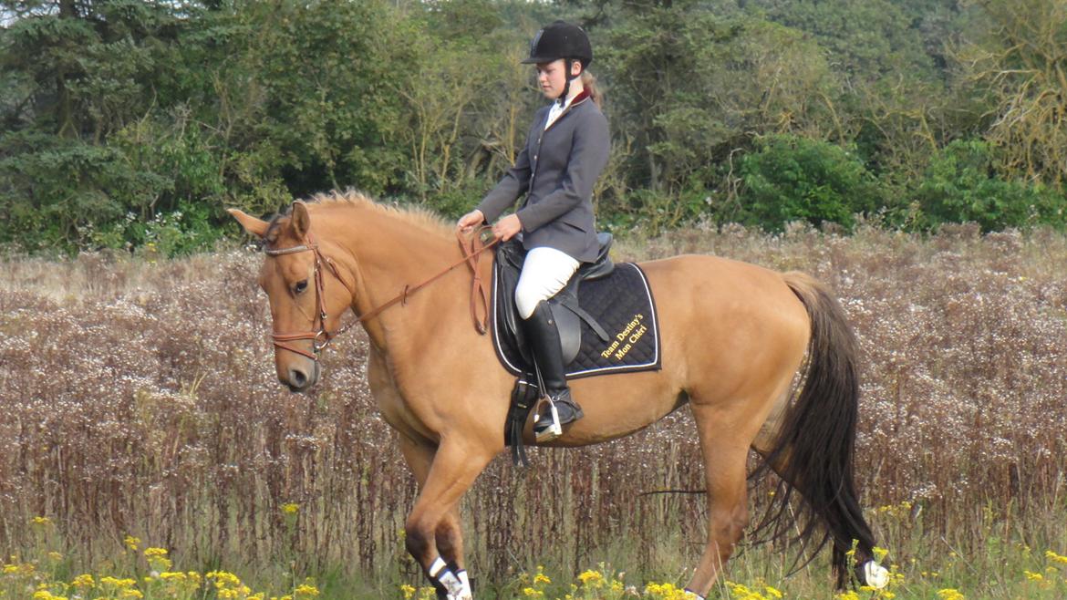 Anden særlig race Mon Chéri - 3,5 år - hun går som en drøm <33  "leger" stævne :) billede 7