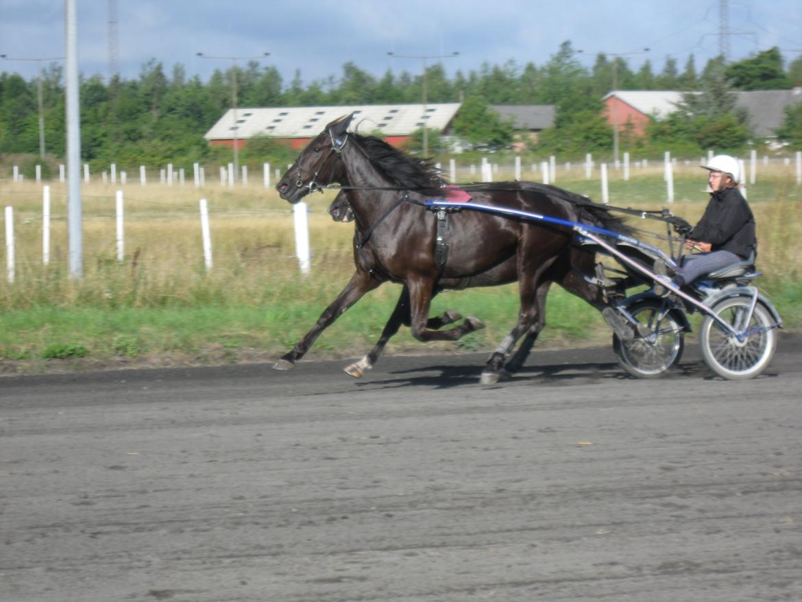 Traver Trendy Simoni ¤Leveret tilbage¤ - 2 gang Trendy & mig var på Skovbo sammen. billede 6