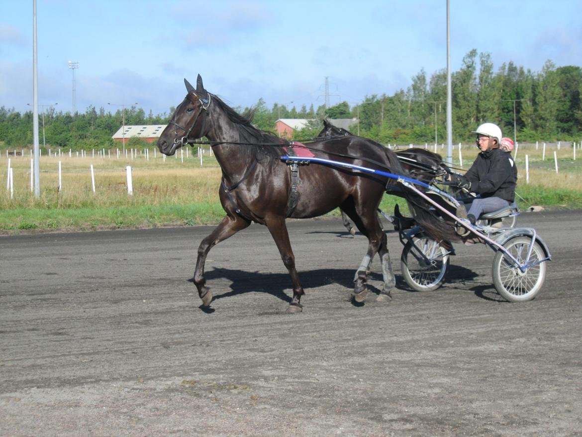 Traver Trendy Simoni ¤Leveret tilbage¤ - TRUE LOVE<3 billede 8