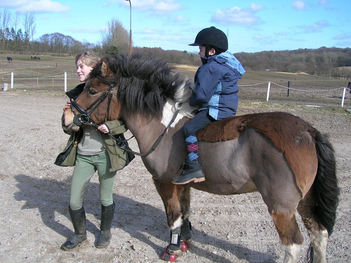 Islænder Sunshine  [Solgt] - Tur på FRK billede 11