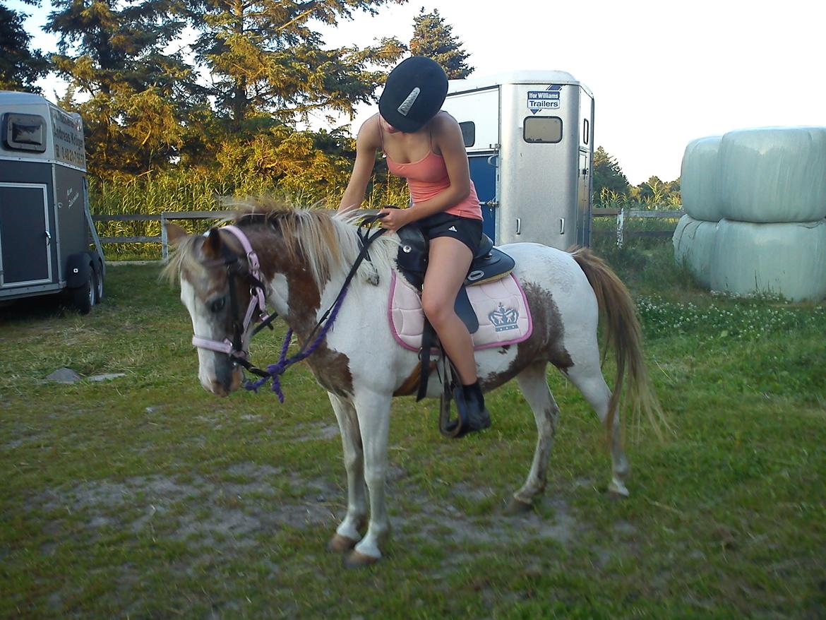 Anden særlig race Winnetou - D. 24 Juni 2012... en af verdens bedste dage<3 efter mange års plagen, fik jeg enlig lov til at ride Winnetou ned på kroen<3 hun var smader sød og det var vidunderligt at side på hende igen :o) billede 2