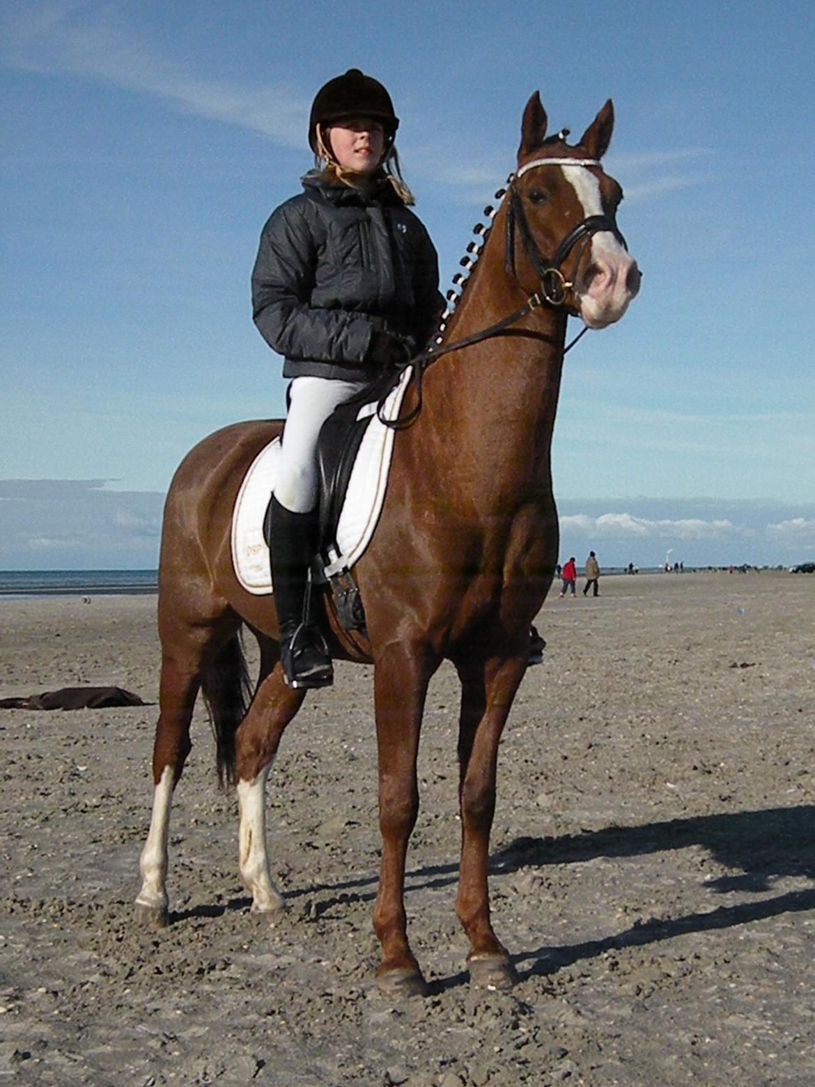 DSP Simba - Rømø 2010 billede 15