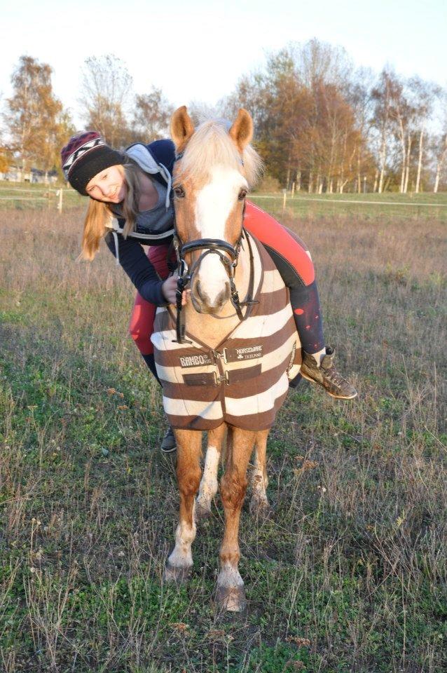 Anden særlig race Pablo - Den bedste i hele verden! billede 7