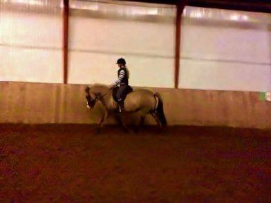 Anden særlig race Blakken - "Hvor voldelig handling tager fat,
 
der standser kunsten brat"
 billede 12