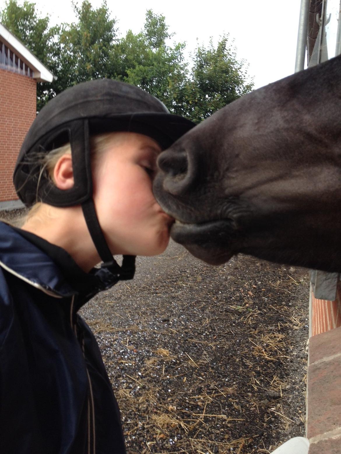 Islænder Hvítasunna - „If I could give you one thing in life, I would give you the ability to see yourself through my eyes, only then you would realize how special you are to me.“ billede 9