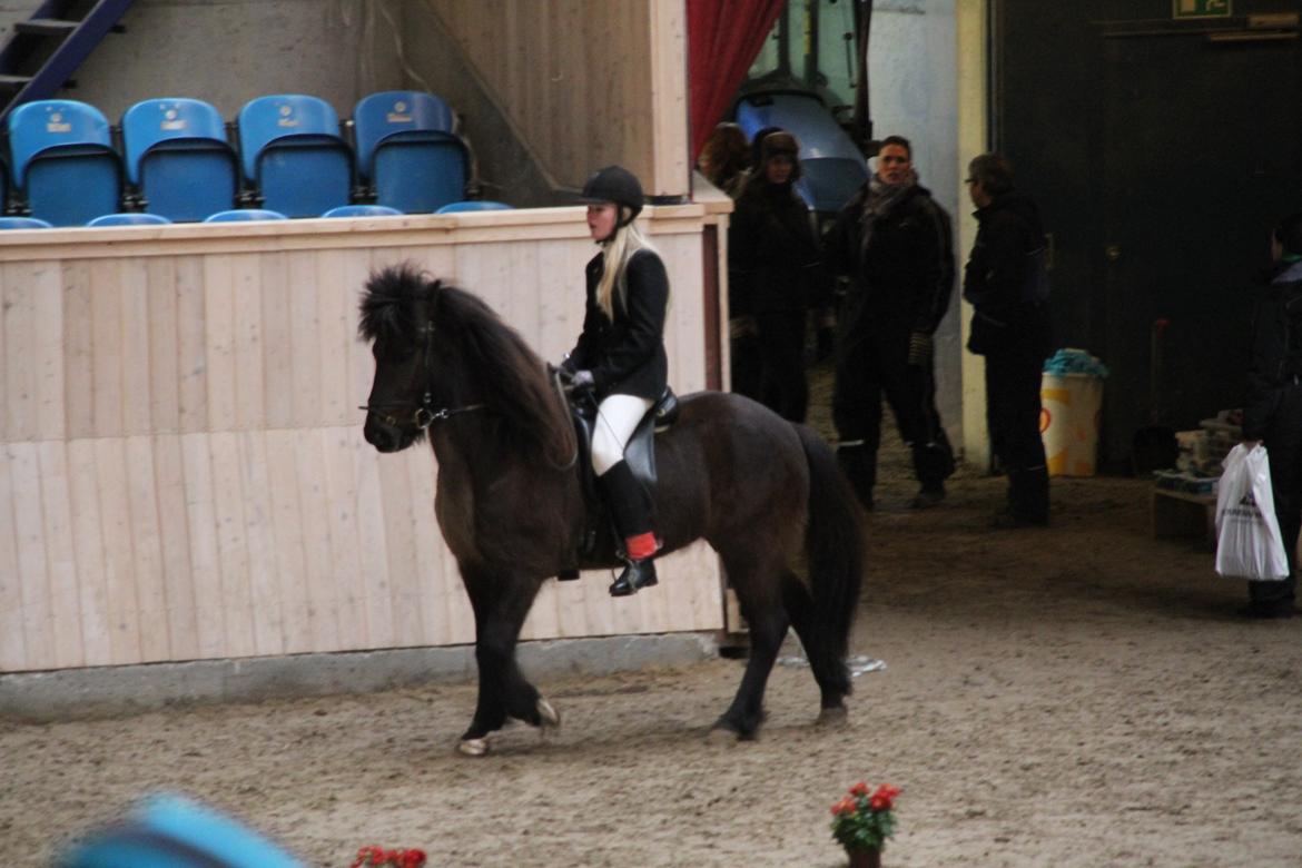 Islænder Hvítasunna - Those who wish to sing, always find a song.
 billede 12