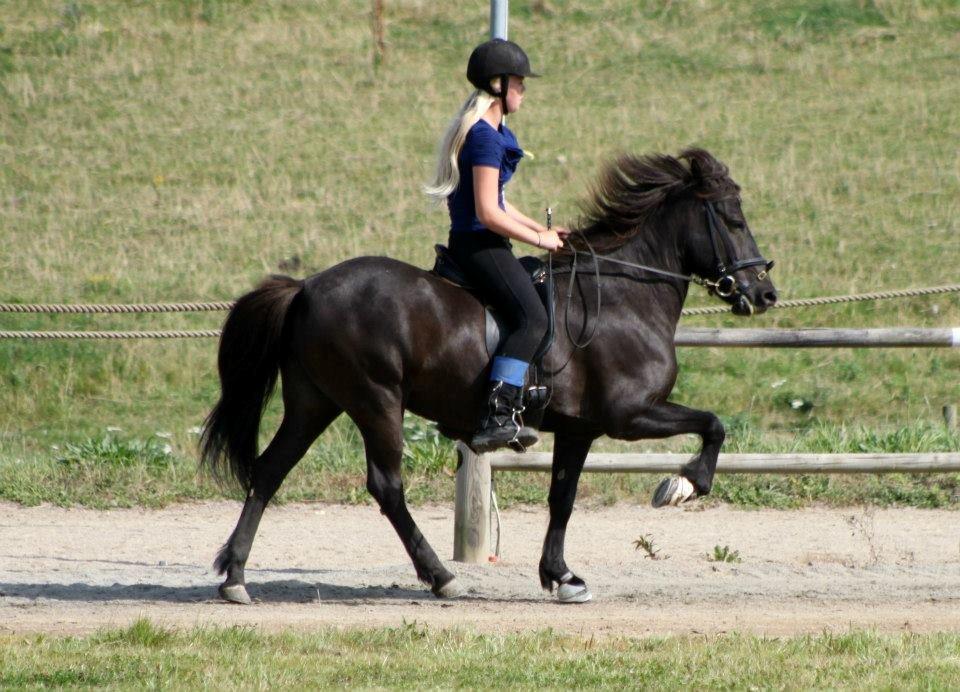 Islænder Hvítasunna - Der er mange ting i livet, som vil fange dine øjne, men kun få, som vil fange dit hjerte. billede 14