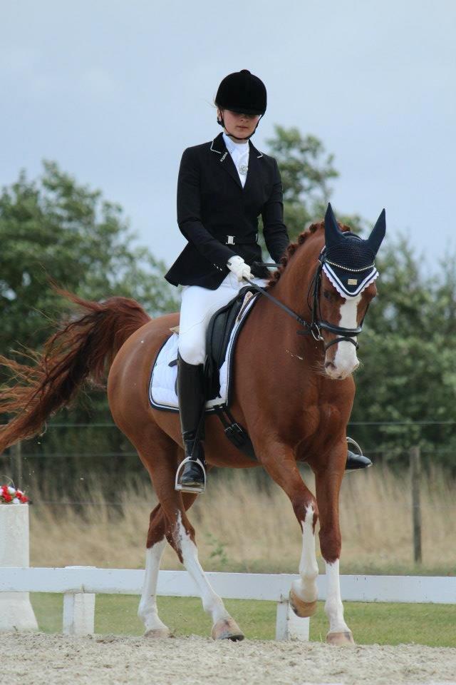 DSP Firhøjs Pikant  B PONY - Sjællandsmesterskab 2012 billede 19