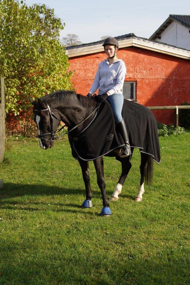 Oldenborg Hector - Hyggelig eftermiddagstur<3  billede 2