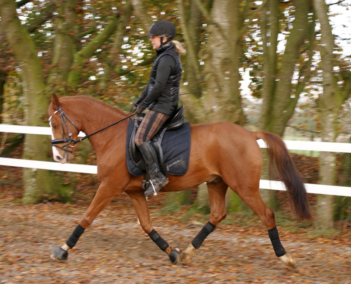 DSP Palle Prut billede 13