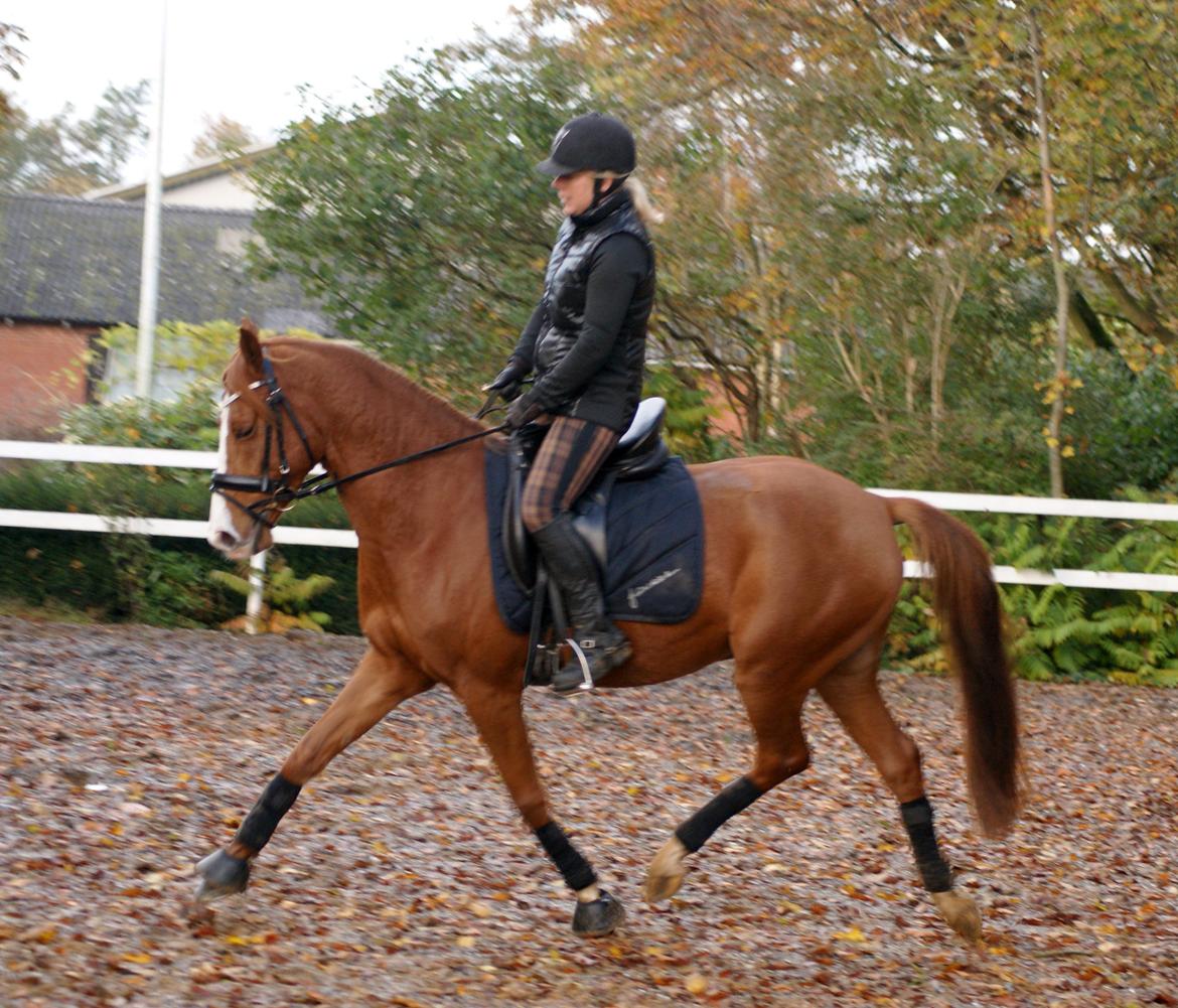 DSP Palle Prut billede 14