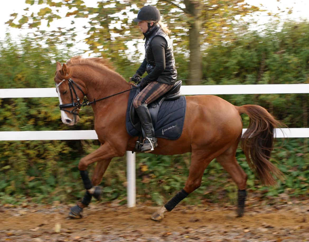 DSP Palle Prut billede 15