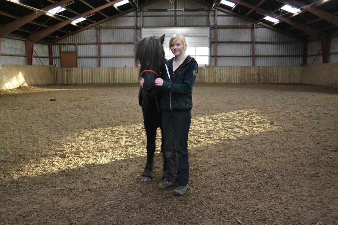 Islænder Askjör fra Lyskjær [Mit kæreste eje] - -Jeg elsker dig!<3  billede 12