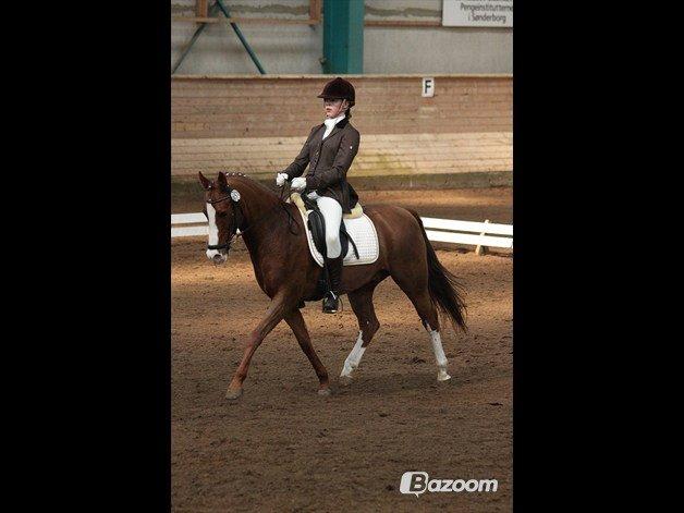 DSP Simba - LA4 2012 SØR (foto. Anne Krog) billede 19