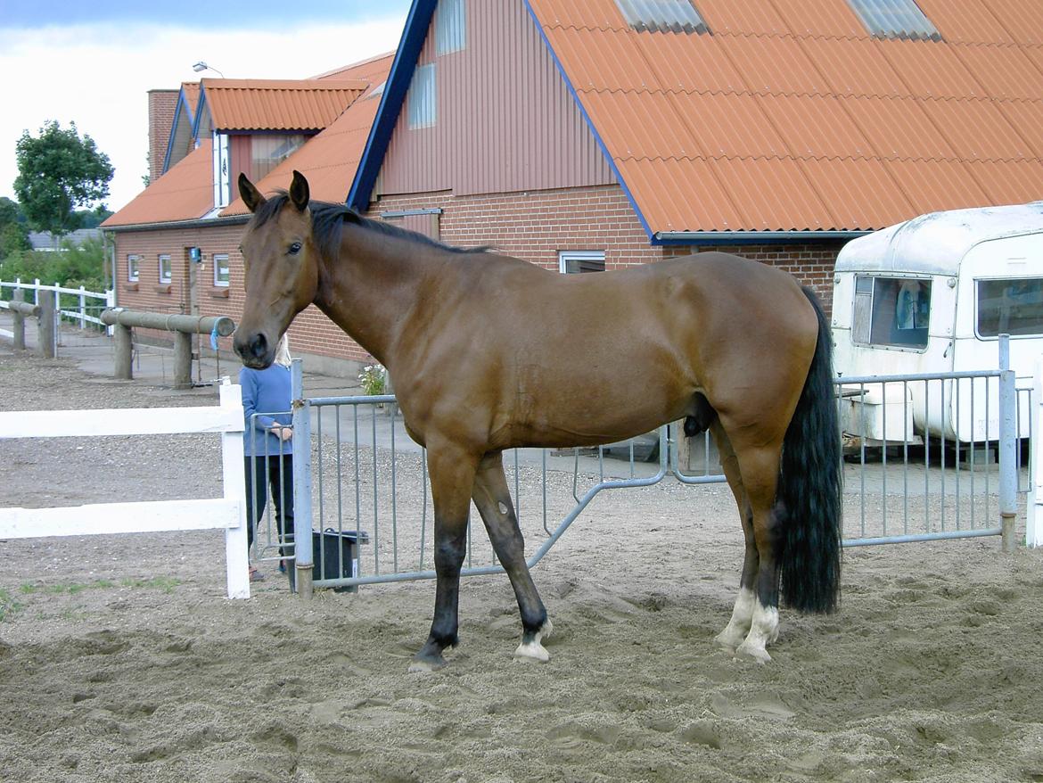 Anden særlig race Monthy billede 1