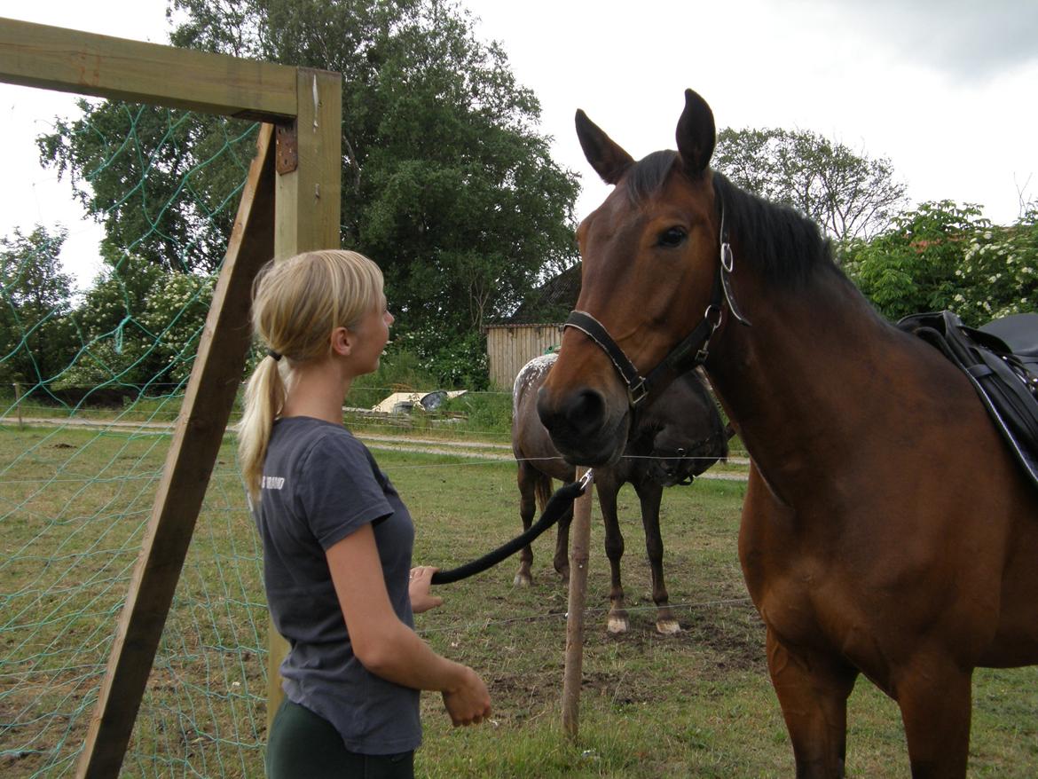 Anden særlig race Monthy billede 3