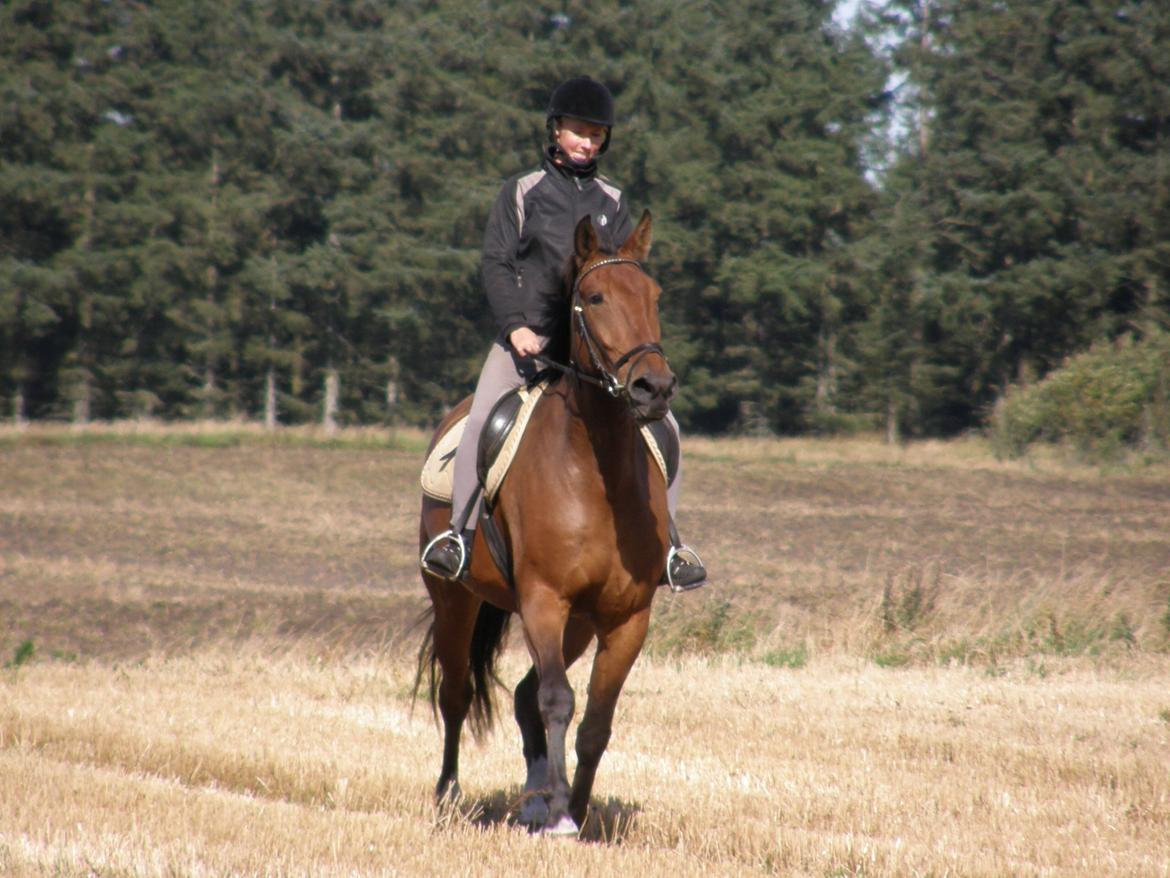 Anden særlig race Monthy billede 4