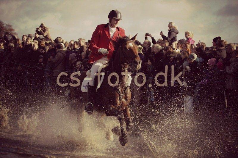 Dansk Varmblod Chico - Hubertusjagt 2012, med papfar på ryggen <3 billede 17